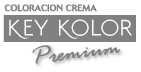 KEY KOLOR PREMIUM